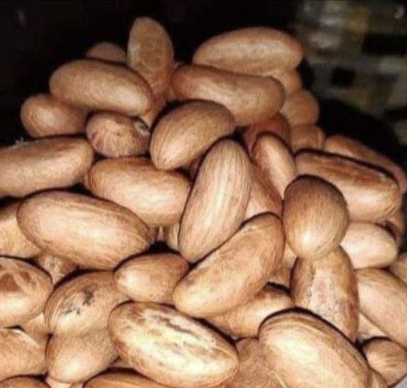 Fresh African Garcinia Nuts: Organic Bitter Kola (Aku Ilu/Akuilu/Orogbo) - 10 whole Pieces GMO-Free/Mijin-goro/Tweapea/Ibhola/Mkola