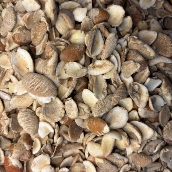 Pure whole Ogbono Ador seeds (Bush Mango) Seed for Traditional African Draw Soup - 100% Natural, No Additives 250G/8.82oz