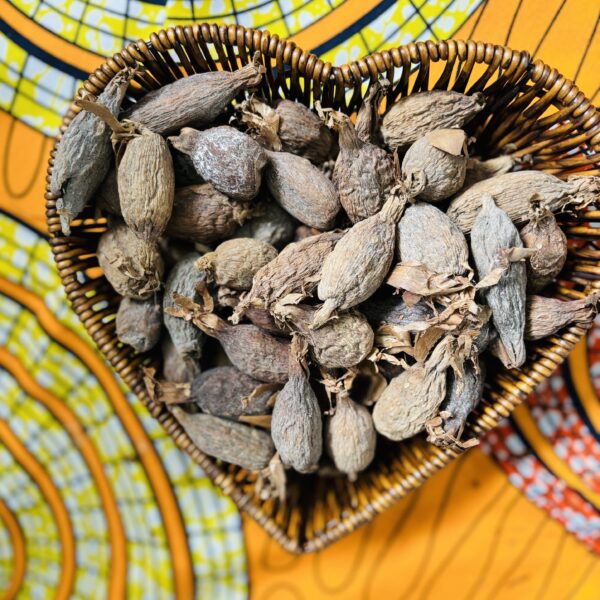 Whole African Alligator Pepper Pods| Ataare Spice| Mbongo| Atakou| African Spice| African Seasoning| African Herb Aframomum danielli